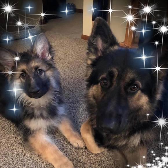 Meet your Posher, Michelle - Picture 1 of 1